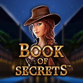 Play Book of Secrets slot by SYNOT Games on realzcasinoo.com