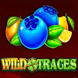Wild Traces online slot from Amusnet Interactive – play at realzcasinoo.com